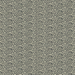 Polka Midnight