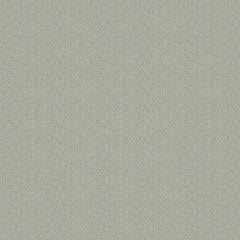 Salta Powder Blue