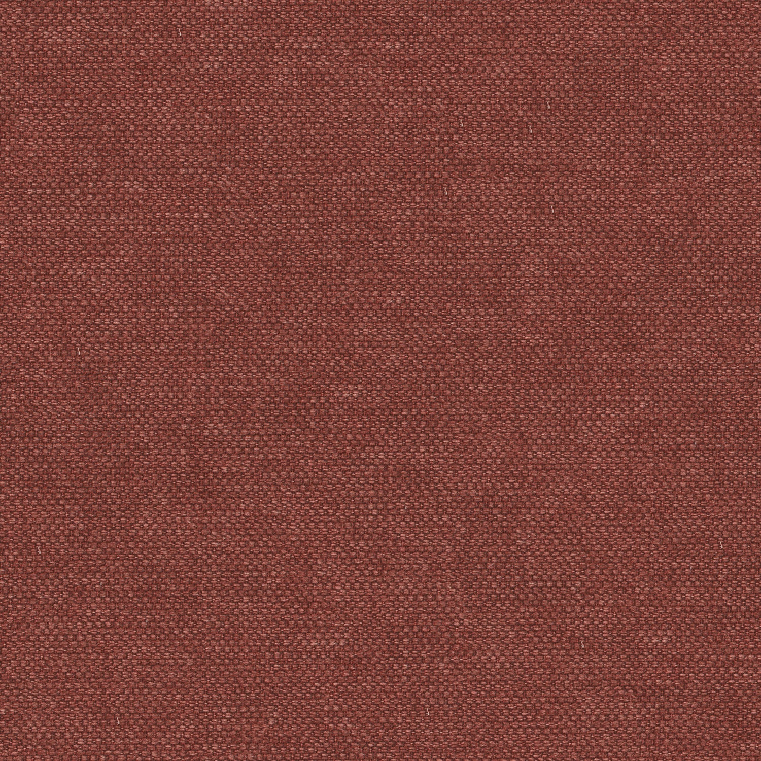 Berry coloured plain cotton fabric suitable for curtains and upholstery