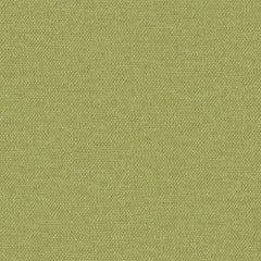 Delta II Lime