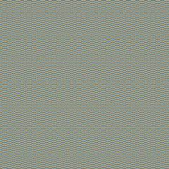 Petherton Denim