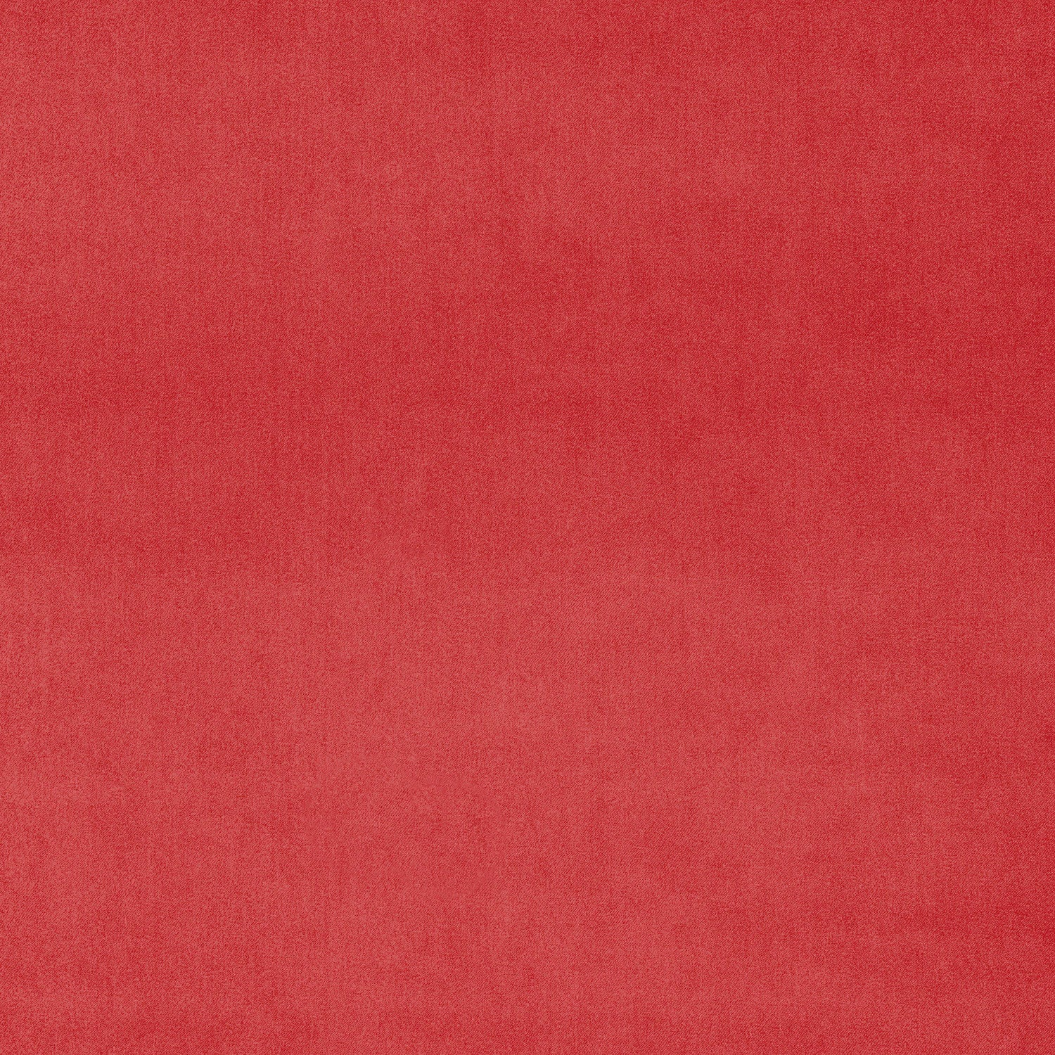 Fabric swatch of a red eco plain velvet – suitable for use as a velvet upholstery fabric or velvet curtains