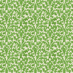 Bagatelle Moss