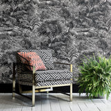 Pampas Charcoal